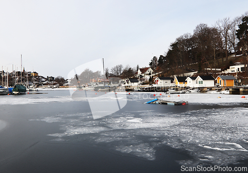 Image of Vinter i Paddehavet