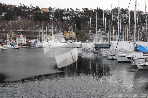 Image of Vinter i Paddehavet