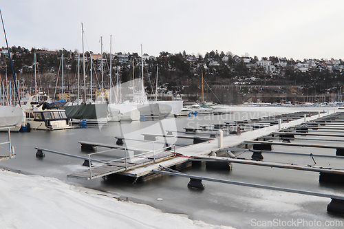 Image of Vinter i Paddehavet
