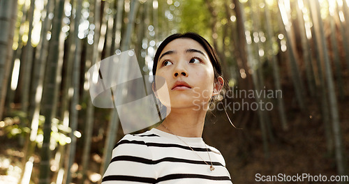 Image of Thinking, bamboo and Japanese woman in forest for adventure on holiday, vacation and morning. Travel, nature and person with natural plants in woods for explore, walking and freedom in Kyoto outdoors