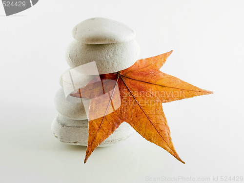 Image of Beach stones with leaf