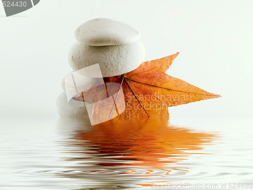 Image of Beach stones with leaf and water reflection