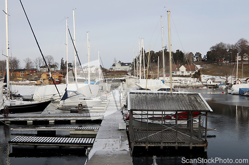 Image of Vinter i Paddehavet