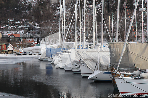 Image of Vinter i Paddehavet