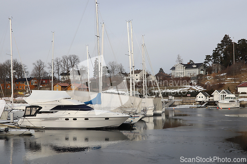 Image of Vinter i Paddehavet