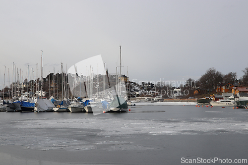 Image of Vinter i Paddehavet