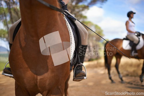 Image of People, horses and countryside for horseback riding in texas, strong and sport training. Farm, feet and stirrup in outdoor, adventure and animal livestock with jockey, pet care and dirt road