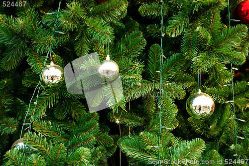 Image of Christmas Tree