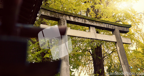 Image of Shinto shrine, temple or torii for faith at building for praise, worship or religion in forest by trees. Woods, symbol and below for culture, peace and mindfulness for spiritual connection in Japan