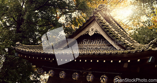 Image of Japanese, temple and building for praise religion or worship, peace or mindfulness practice. Architecture, trees and environment for spiritual meditation or calm faith for wellness, buddhist or pray