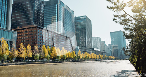 Image of City, buildings and river on landscape, skyline and trees on sidewalk for sustainability in metro. Skyscraper, cityscape and nature with water, lake and outdoor in environment for urban expansion