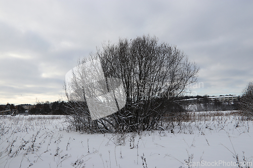 Image of &Oslash;stensj&oslash;vannet