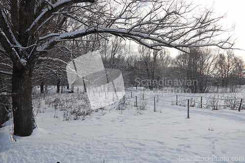 Image of &Oslash;stensj&oslash;vannet