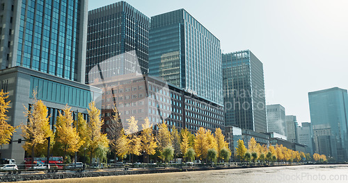 Image of City, buildings and river on landscape, skyline and trees on sidewalk for sustainability in metro. Skyscraper, cityscape and nature with water, lake and outdoor in environment for urban expansion