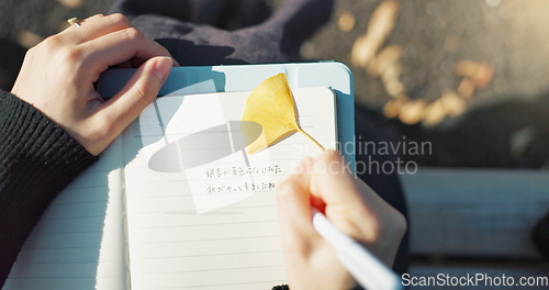 Image of Person, hands and writing in book on park bench for reminder, agenda or memory in nature above. Top view and closeup of writer or journalist taking notes in diary or notebook with pen for planning