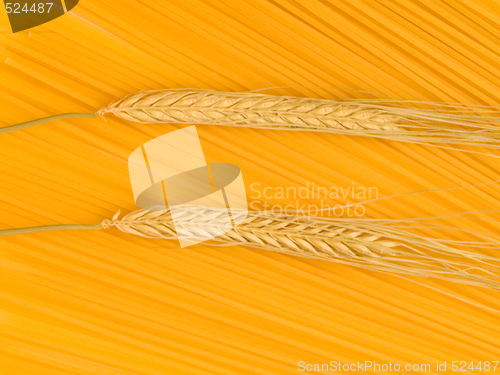 Image of Uncooked Italian pasta Spaghetti and wheat background