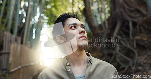 Image of Face, thinking or Asian man in forest for journey on holiday, vacation for freedom or wellness. Hiking, travel and Japanese male person with insight for calm, peace and inspiration to relax in park