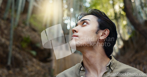 Image of Face, thinking or Asian man in forest for journey on holiday, vacation for freedom or wellness. Hiking, travel and Japanese male person with insight for calm, peace and inspiration to relax in park