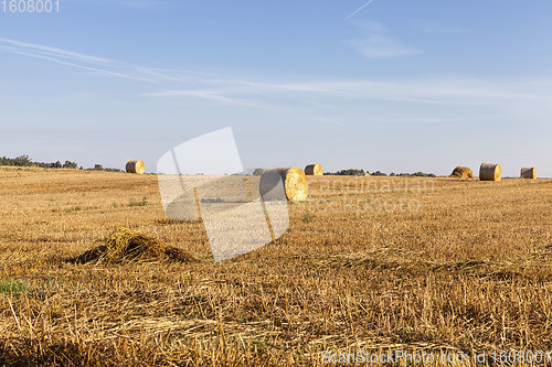 Image of a stack of straw