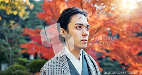 Image of Man, Asian and walking in garden with sunshine, peace and thinking about life with reflection and tranquility. Travel, tourist in Japanese park and stroll in nature for fresh air, lens flare and calm