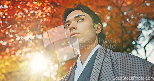 Image of Man in garden, Asian and peace, thinking about life with reflection and tranquility in traditional clothes. Travel, Japanese park and nature for fresh air, inspiration or insight with sunshine