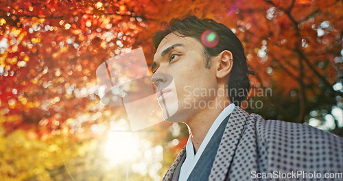Image of Man in garden, Asian and peace, thinking about life with reflection and tranquility in traditional clothes. Travel, Japanese park and nature for fresh air, inspiration or insight with sunshine