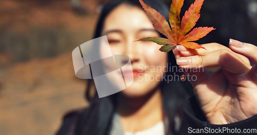 Image of Woman, Asian and face with leaf in autumn, nature and color with happiness outdoor. Environment, plant and smile in portrait, park or garden in Japan with foliage, mockup space and positivity