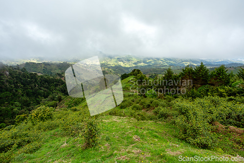 Image of Rain forest in Tapanti national park, Costa Rica