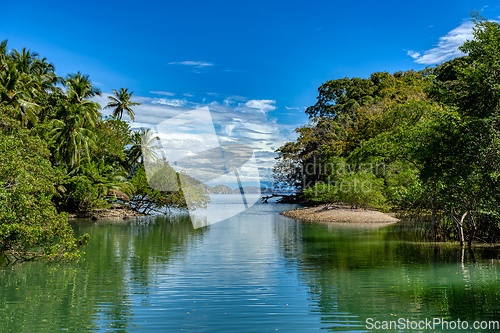 Image of Playa in Curu Wildlife Reserve, Costa Rica wildlife.