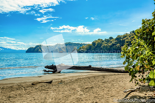 Image of Playa in Curu Wildlife Reserve, Costa Rica wildlife.