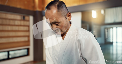 Image of Japanese sensei, aikido and instructor for fighting, modern martial arts and class in self defence. Teacher, respect and bow as trainer in life energy, man and strong in coaching in dojo place