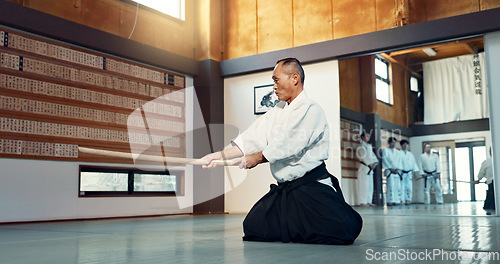 Image of Aikido sword, mature sensei and man teaching class, self defense or combat technique. Martial arts, Japanese person and wooden weapon for skills development, attack demonstration or bokken strike