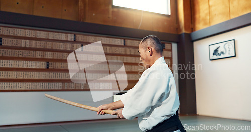 Image of Aikido sword, mature sensei and man teaching class, self defense or combat technique. Martial arts, Japanese person and wooden weapon for skills development, attack demonstration or bokken strike