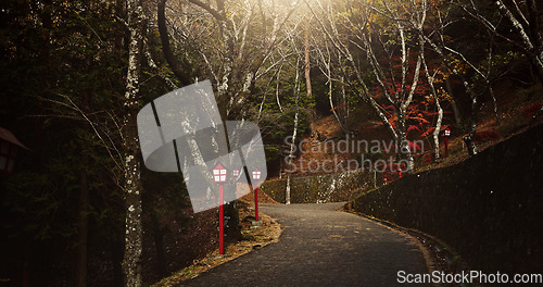 Image of Dark, night and a path of a Japanese street for walking, nature or travel. Evening, landscape and an empty road in a natural environment, forest or woods in Japan for commute, scenery or lighting