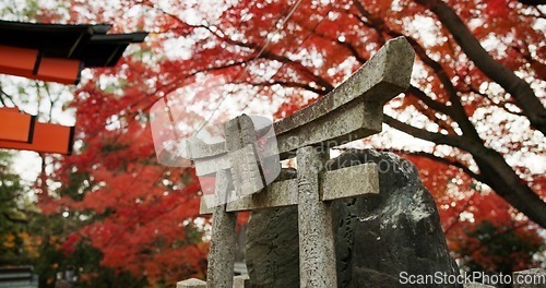 Image of Statue or sculpture in forest with spiritual history, Japanese culture and vintage art in nature. Travel, landmark and stone nezu jinja shrine in woods with stone monument, trees and worship to god