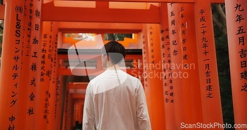 Image of Man, torii gate and Japanese culture on trip, travel and traditional landmark for spirituality. Buddhism, monument and back of person in Kyoto, worship and prayer or peace in Fushimi Inari Shinto