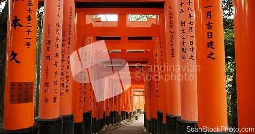 Image of Architecture, torii gates and temple for religion, travel and traditional landmark for spirituality. Buddhism, Japanese culture and trip to Kyoto, zen and prayer or pathway by Fushimi Inari Shinto