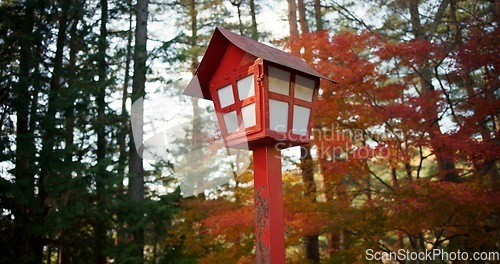 Image of Nature, forest and Japan, red lamp for lighting path to traditional Shinto shrine with trees, history and autumn. Woods, travel and adventure, toro light in Japanese culture with landscape and zen.