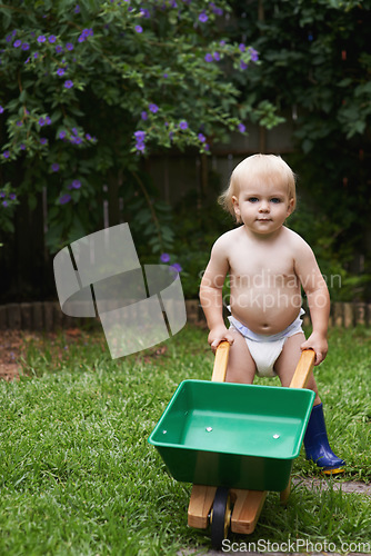 Image of Portrait, boy and child with a wheelbarrow, garden and nature with grass, playing and fun. Summer, backyard and kid with equipment, child development and countryside with plants, growth and happiness