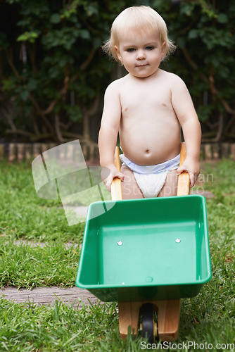 Image of Portrait, boy and kid with a wheelbarrow, gardening and nature with grass, playing and fun. Summer, backyard and toy with child development, baby and countryside with plants, growth and happiness