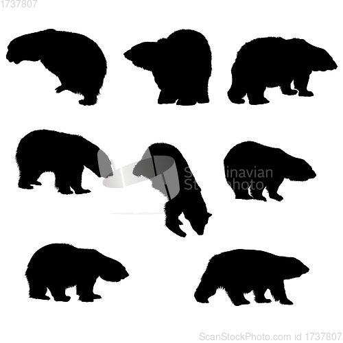 Image of Bear Silhouette Set