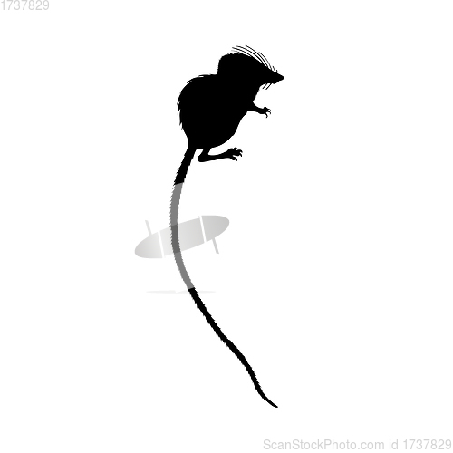 Image of Tenrec Silhouette