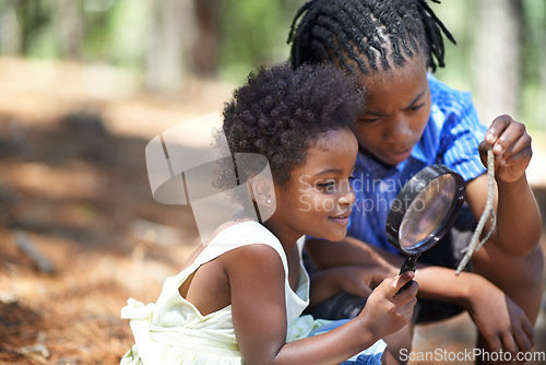 Image of Children, siblings and magnifying glass in a forest for branch, inspection or discovery in nature together. Black family, kids and magnifier in park for adventure, learning or discovery, games or fun