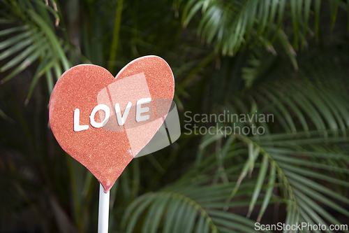 Image of Valentines Day