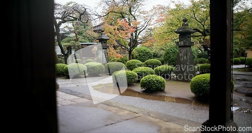 Image of Japan graveyard, trees and outdoor by shrine in landscape environment, autumn leaves and rain. Urban, countryside or tomb for asian culture in kyoto town or cemetery for indigenous shinto religion