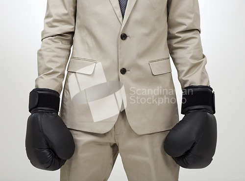 Image of Boxing gloves, studio hands and business person, fighter or lawyer ready to fight for law. Suit, closeup boxer and advocate for legal defence, protection and security on white background