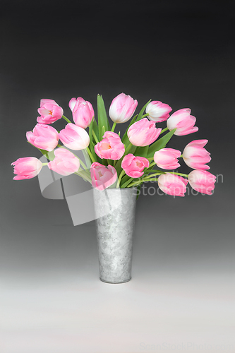 Image of Spring Pink Tulip Flower Still Life Arrangement