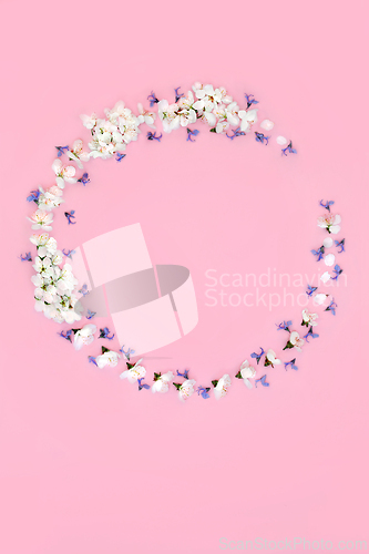 Image of Cherry Blossom and Ragged Robin Flower Wreath