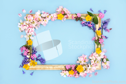 Image of Spring Beltane Wildflower Background Border Frame 