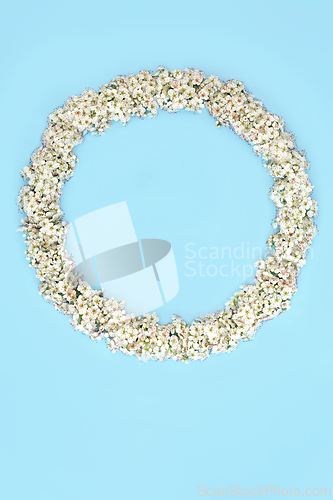 Image of Hawthorn Blossom Flower Beltane Spring Wreath